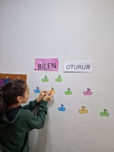 Dilimizin Zenginlikleri